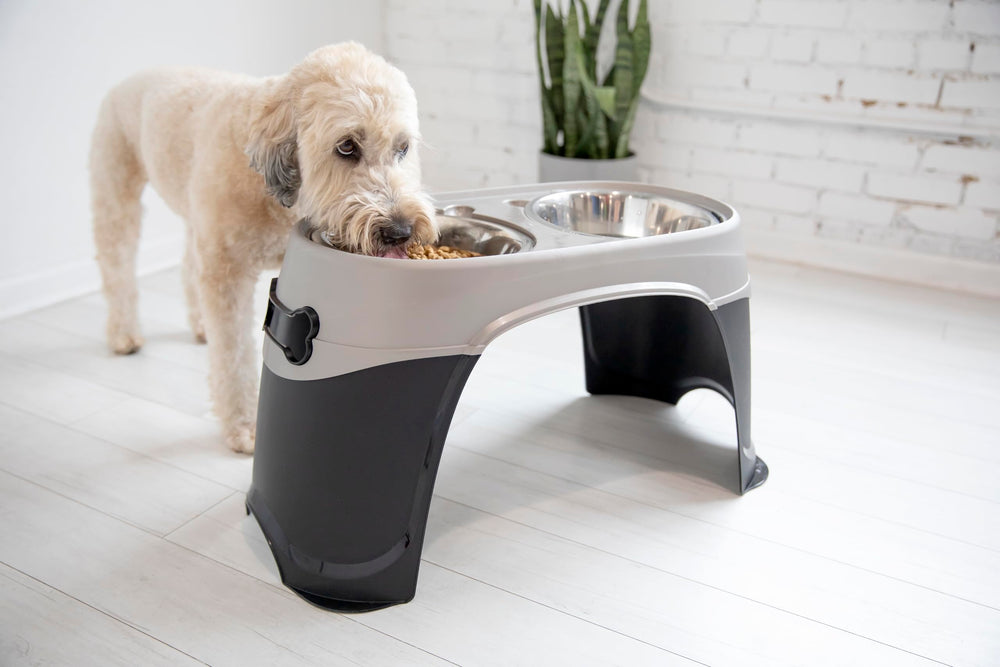 Structure robuste du support elevé Petmate Easy Reach Diner pour un usage quotidien.