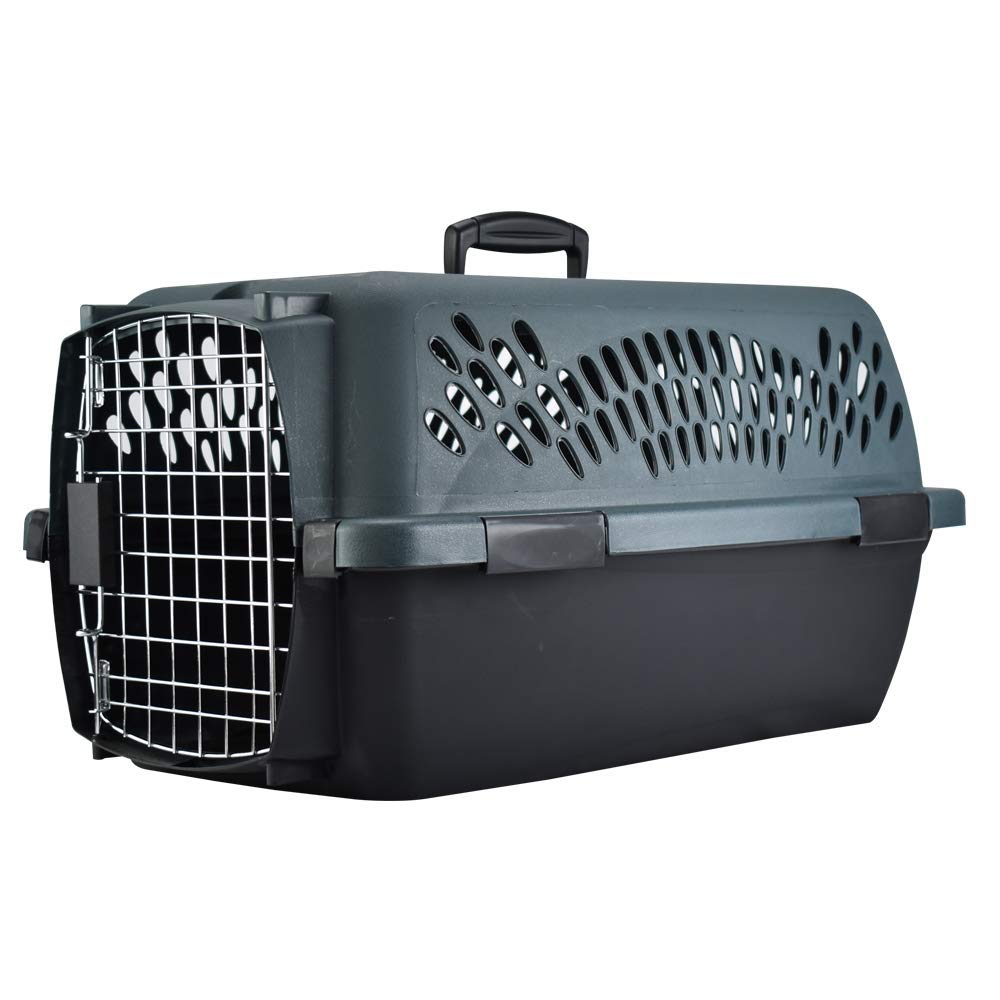 Petmate caisse conforme avion, ventilation sur quatre côtés pour le confort en vol.