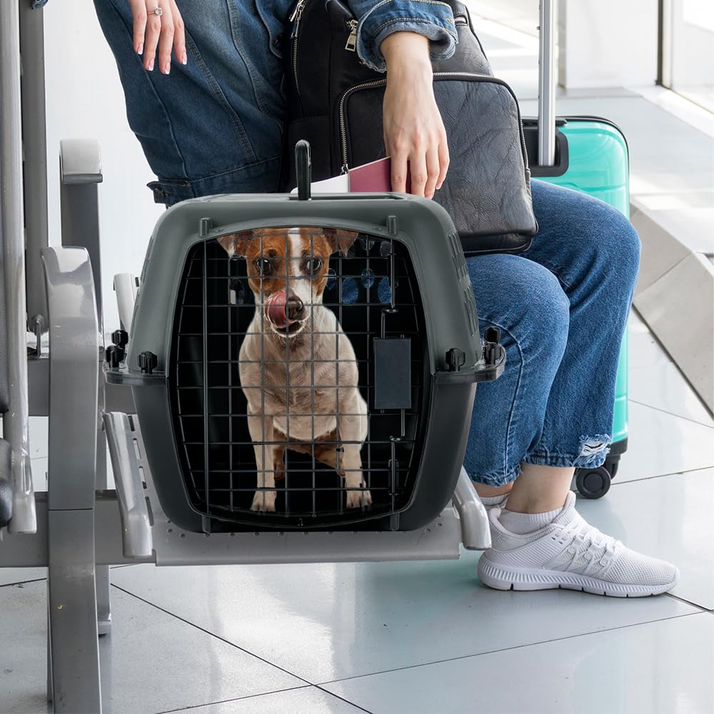 Petmate caisse polyvalente, idéale pour voyages en voiture ou avion.