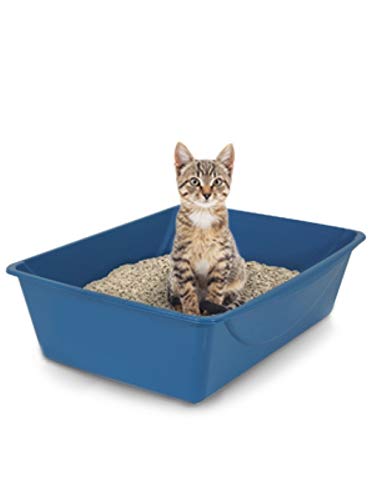 Petmate litière ouverte pour chat – poignée ergonomique pour levage facile.