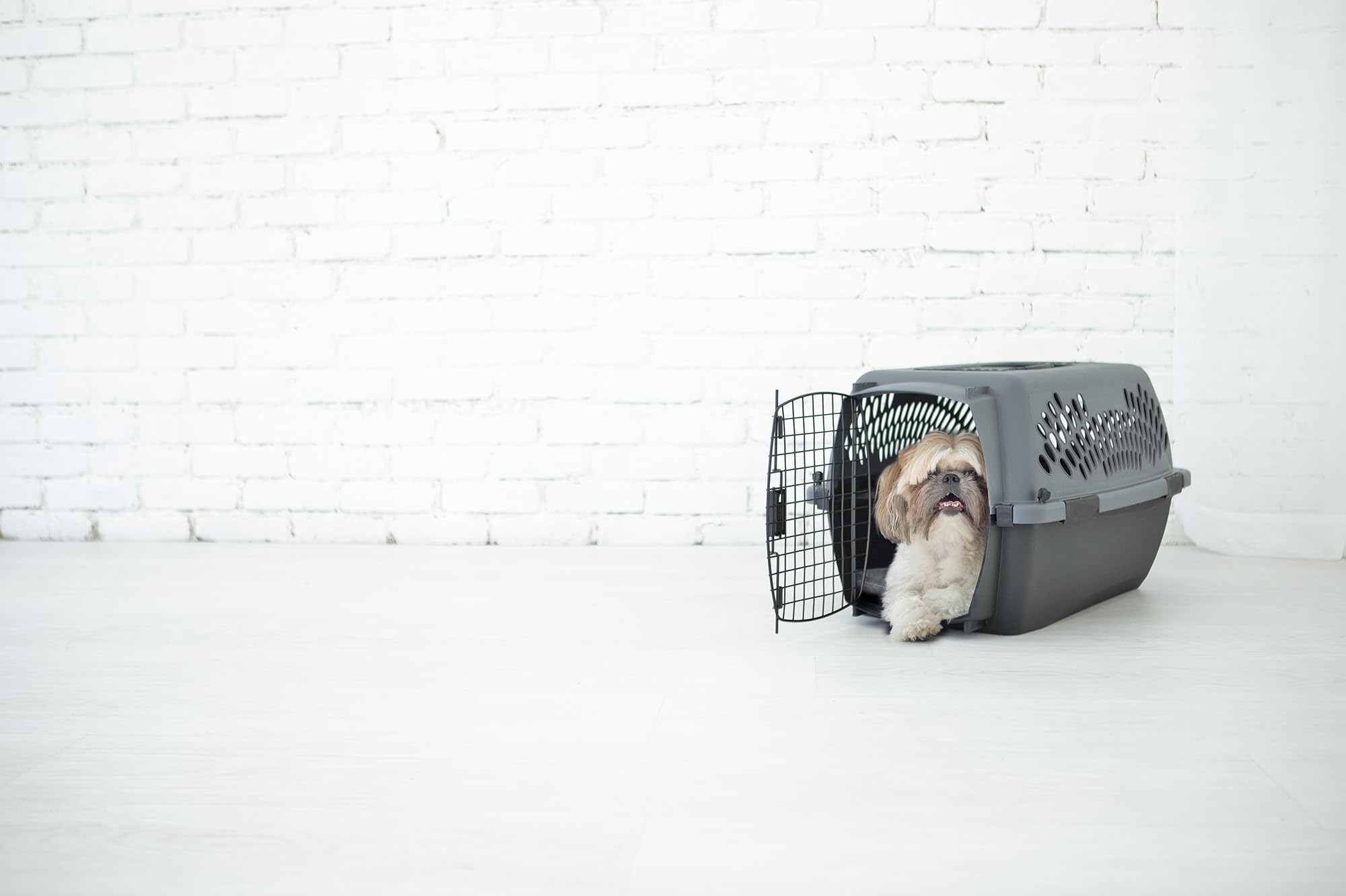 Coque plastique du Petmate Pet Porter facile à nettoyer après usage.