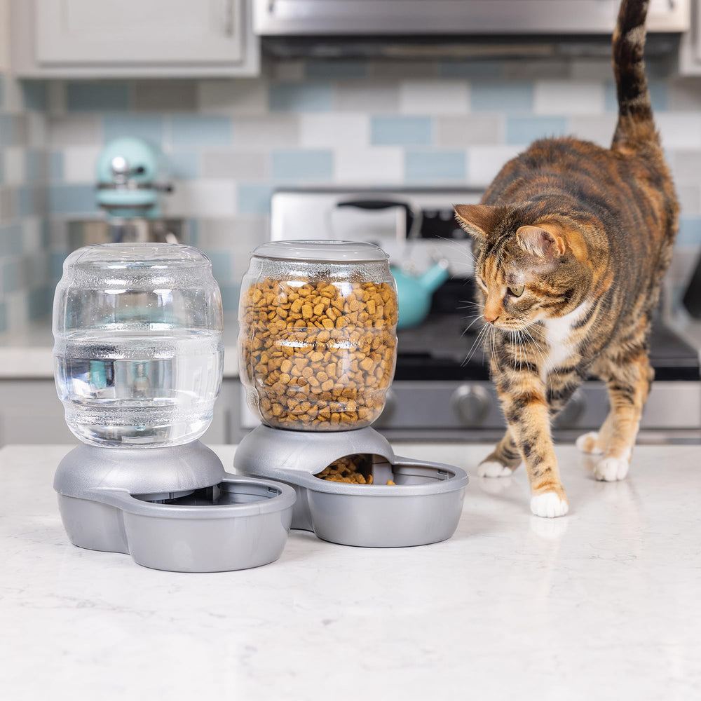Petmate Replendish: design bleu elegant dans la maison