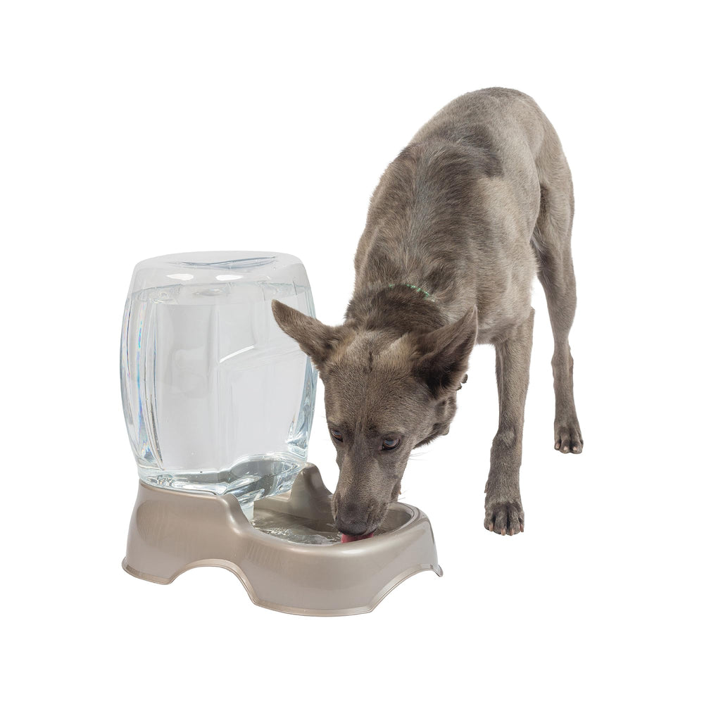 Petmate Replendish: entretien simple et longue duree