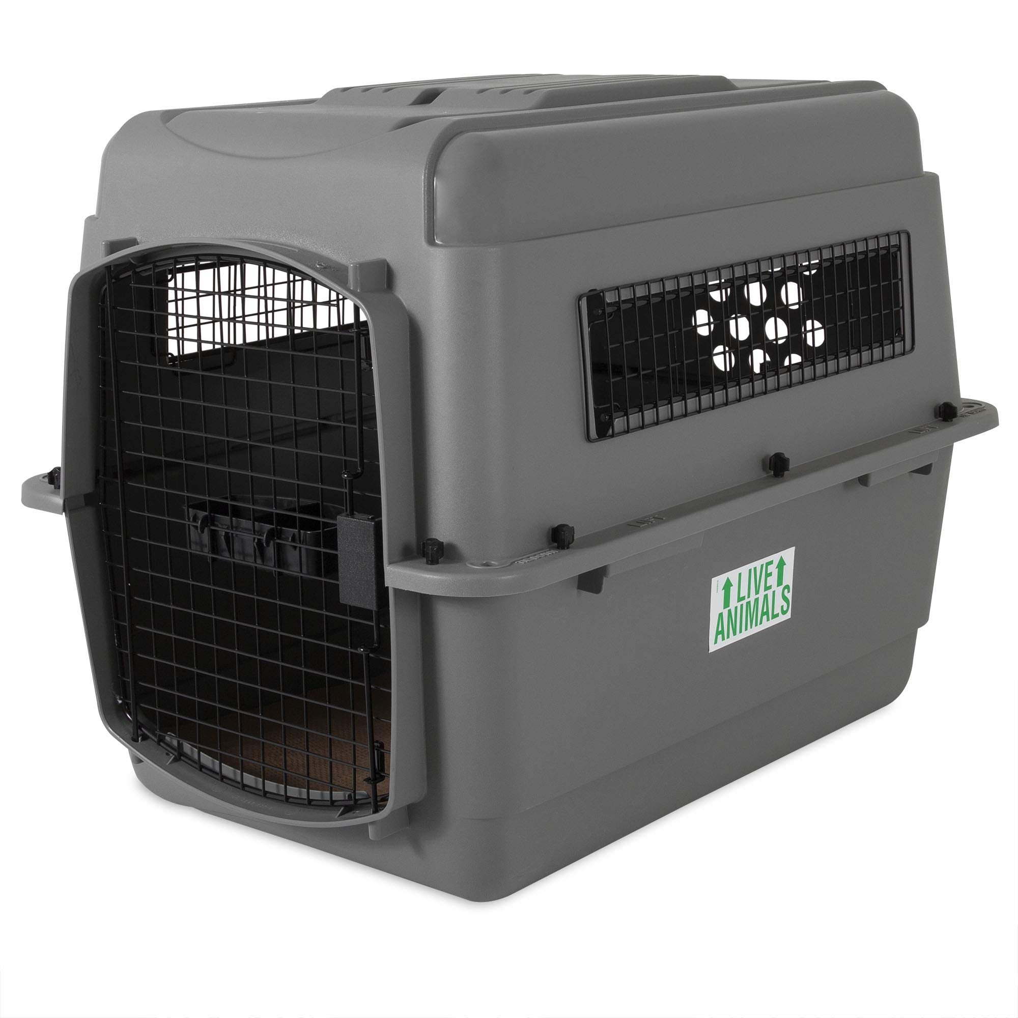 Petmate Sky Kennel – intérieur spacieux pour chien moyen, confort en voyage.