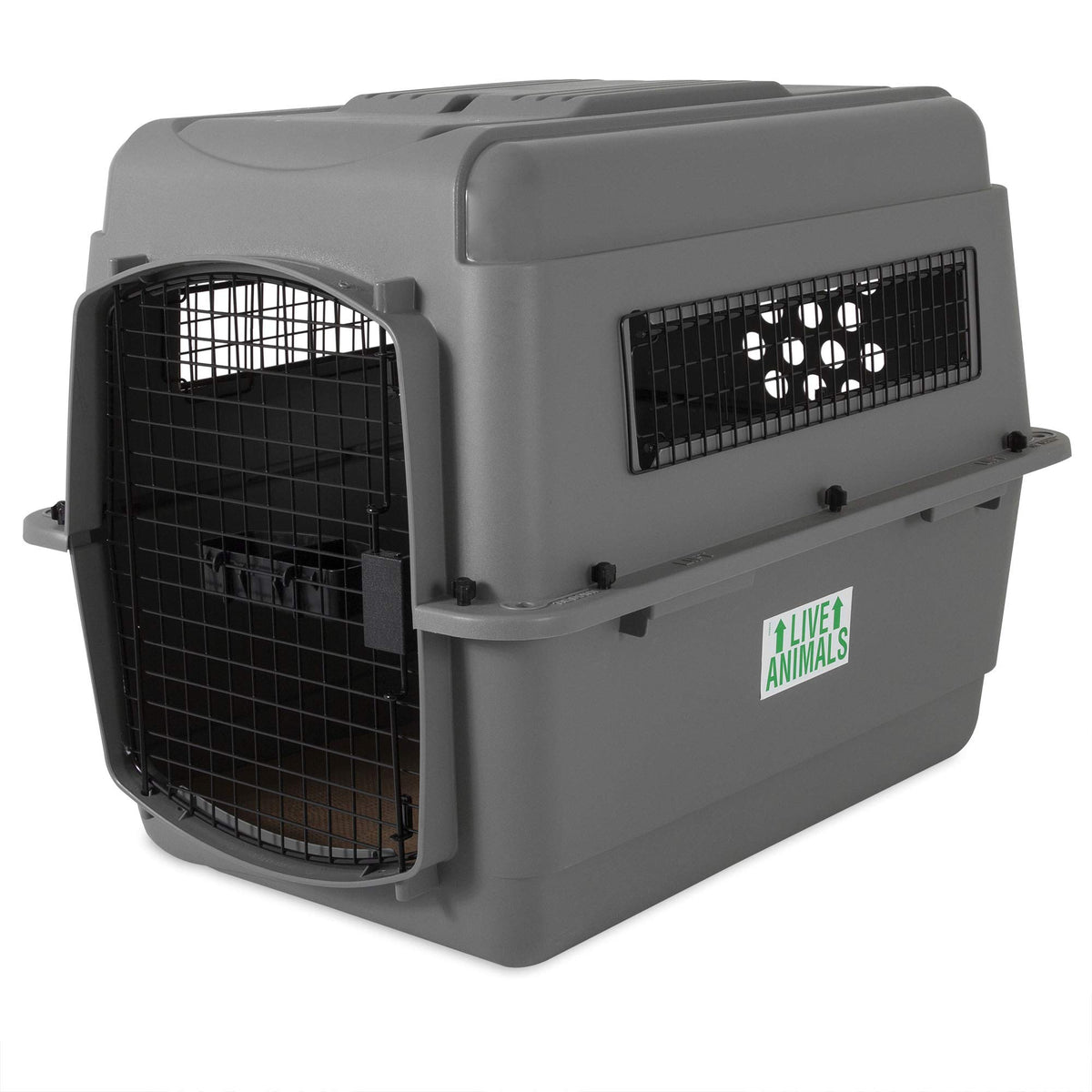 Petmate Sky Kennel – intérieur spacieux pour chien moyen, confort en voyage.