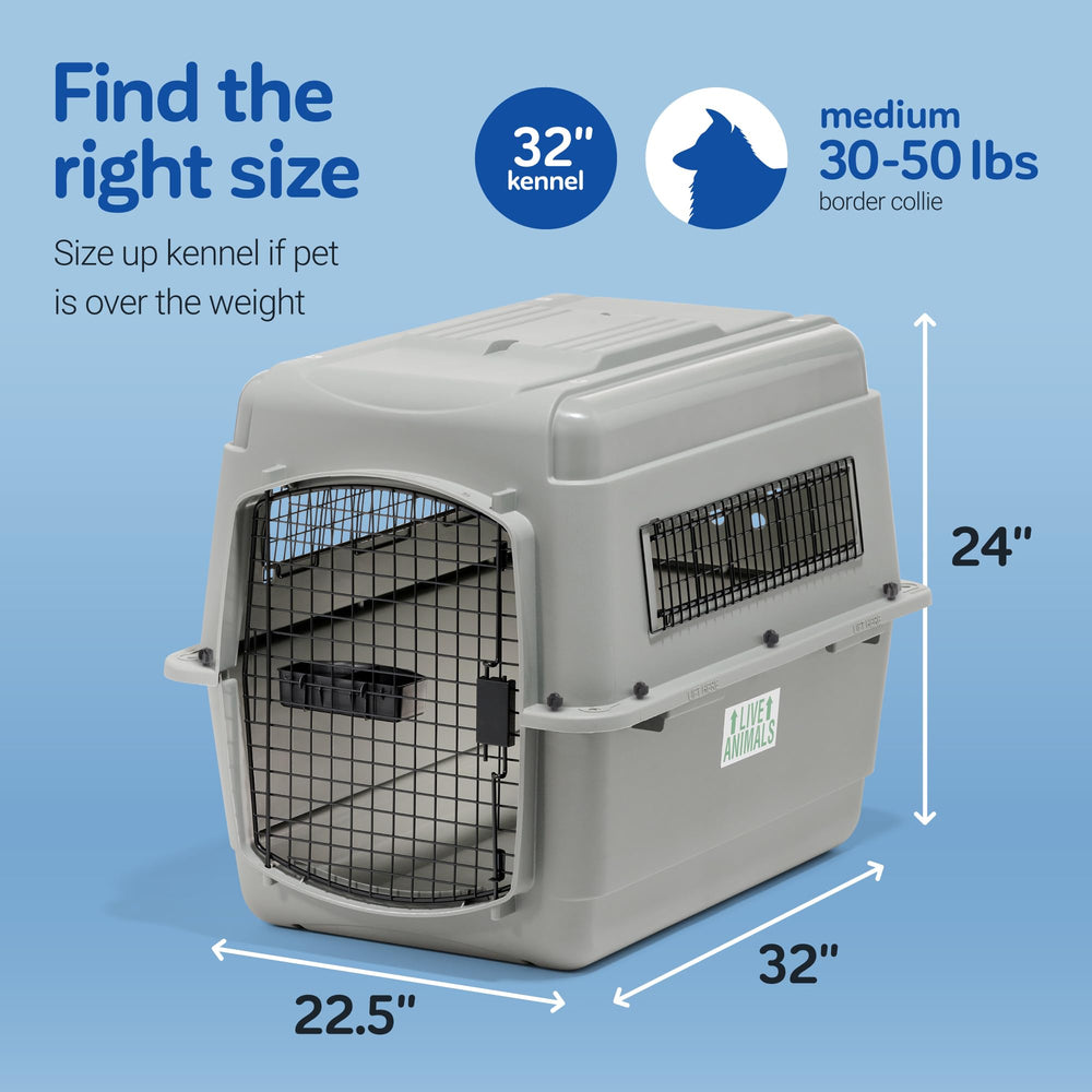 Petmate Sky Kennel – kit de voyage inclus pratique pour déplacements.
