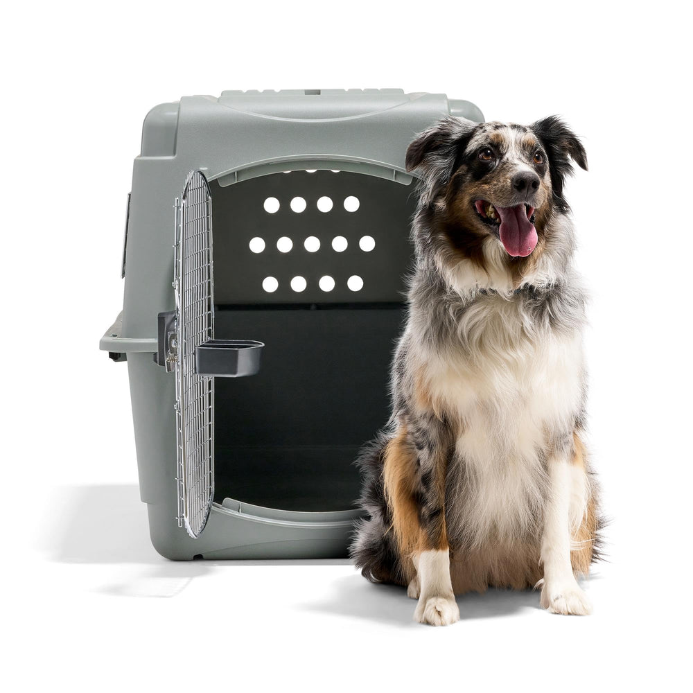 Petmate Sky Kennel plastique EcoTEC durable et recyclé.