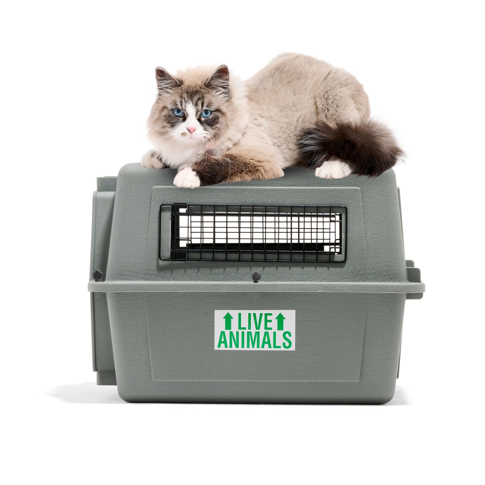 Petmate Sky Kennel – utilisation domicile et voyage pour petits animaux.