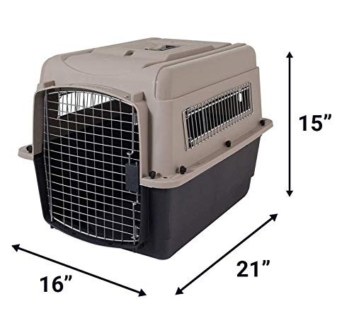 Petmate Ultra Vari intérieur surélevé offrant plus de confort.
