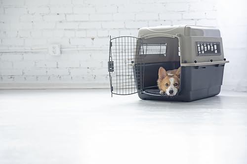 Conforme aux spécifications avion pour le Petmate Ultra Vari Kennel