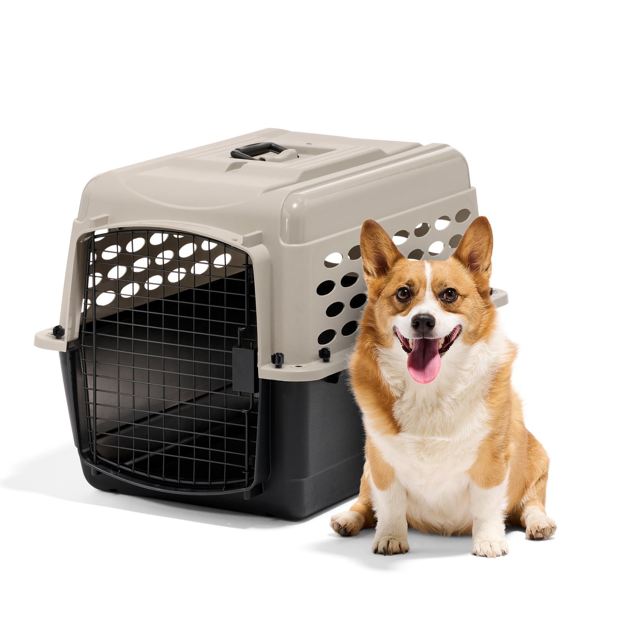 Petmate Vari chenil chien montage sans outils