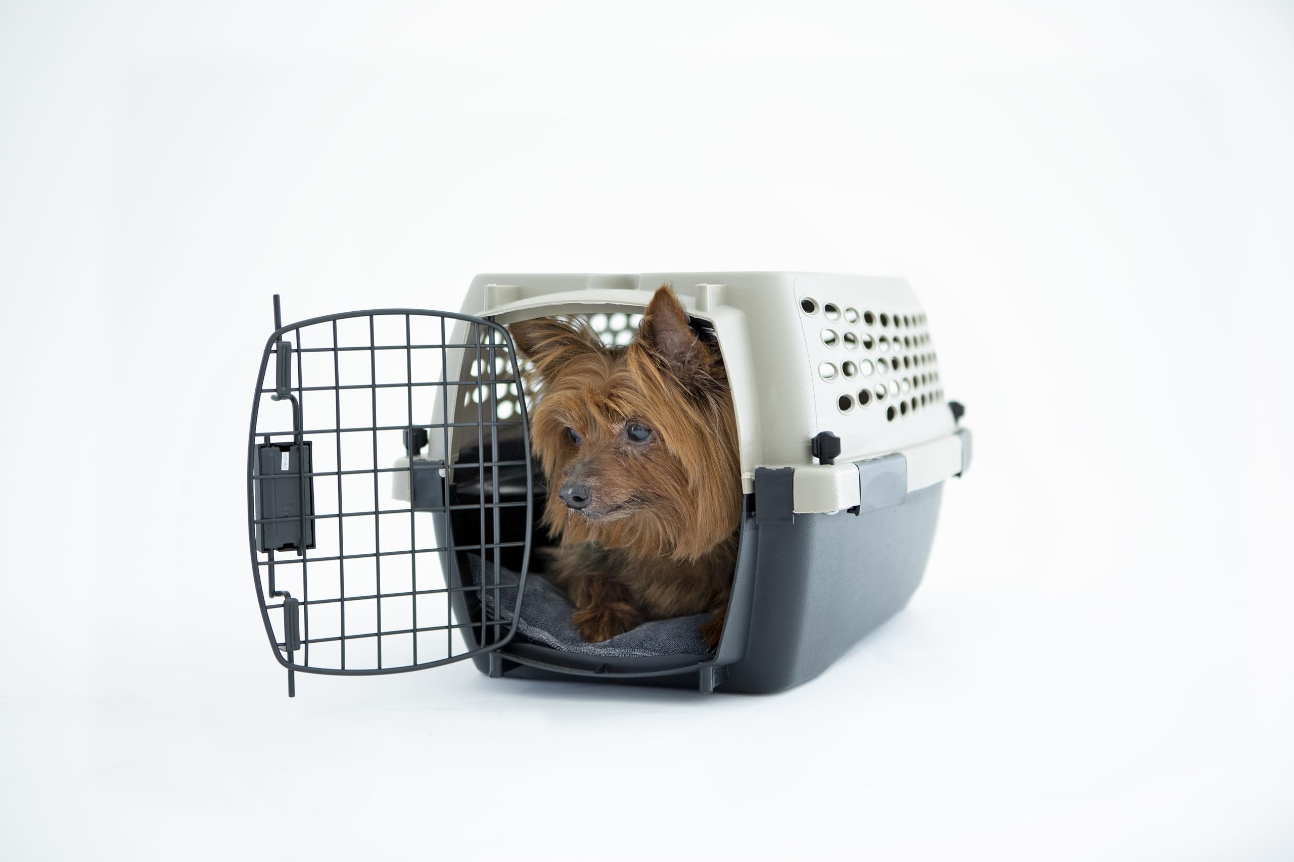 Dimensions intérieures 41,1 x 30,5 x 22,9 cm pour Petmate Vari Dog Kennel.