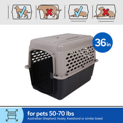 Petmate Vari cage chien grande taille, espace suffisant pour bouger et se reposer.