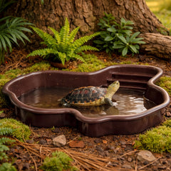 Petmolico bol eau tortue surface anti-glisse pour habitat sûr et stable.