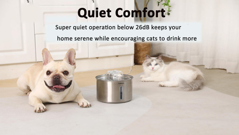PetMuch fontaine-chat-inox-3l-compatible-lave-vaisselle, nettoyage rapide et pratique.