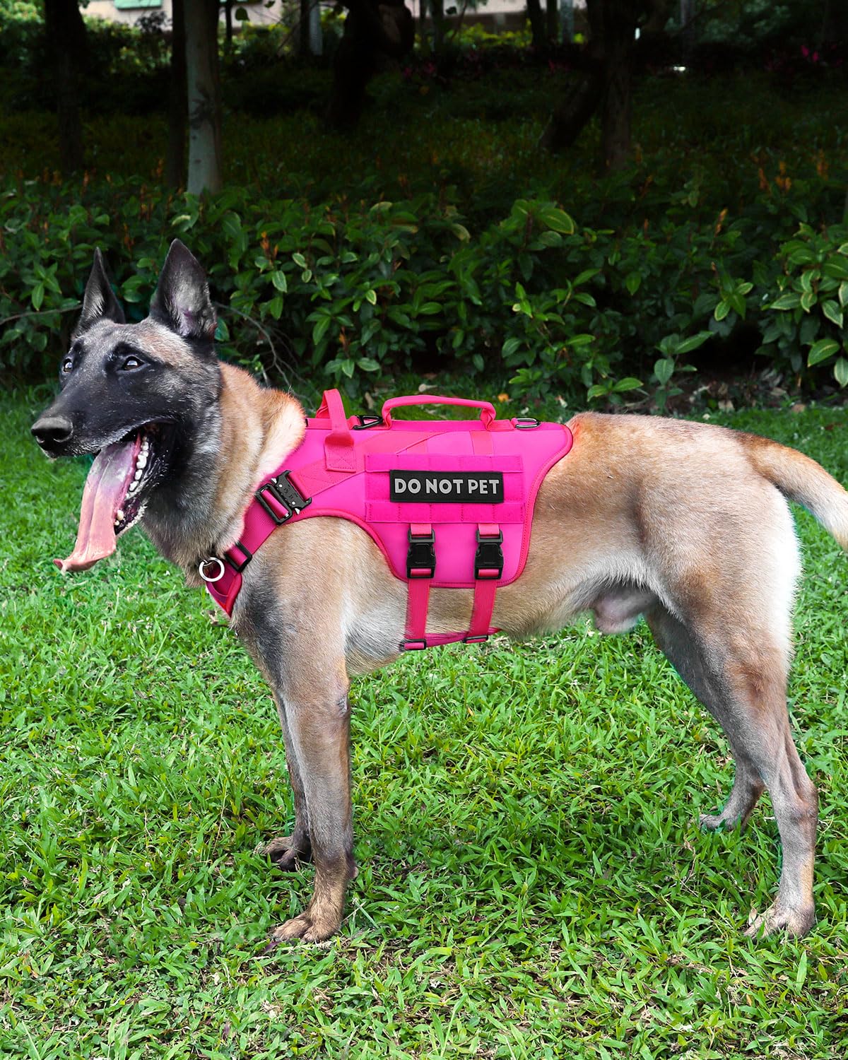 PETNANNY harnais tactique rose trois anneaux D pour différentes attaches de laisse