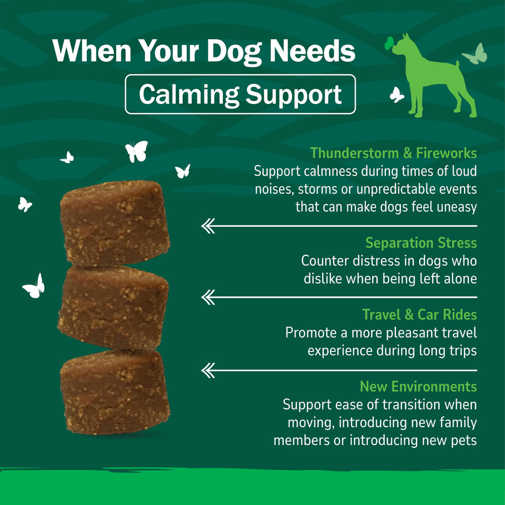 PetNC bouchées molles apaisantes pour chien – goût foie apprécié.