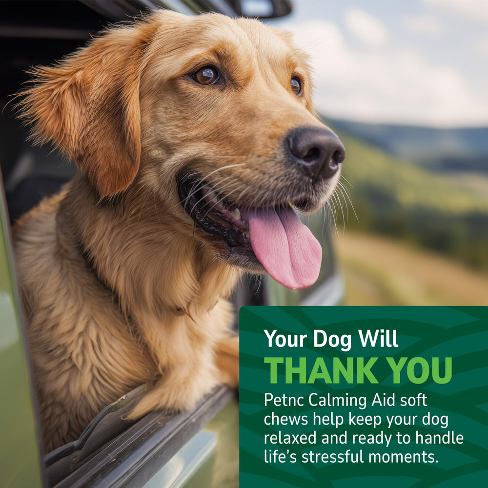 PetNC bouchées molles apaisantes pour chien – soutien au calme quotidien.