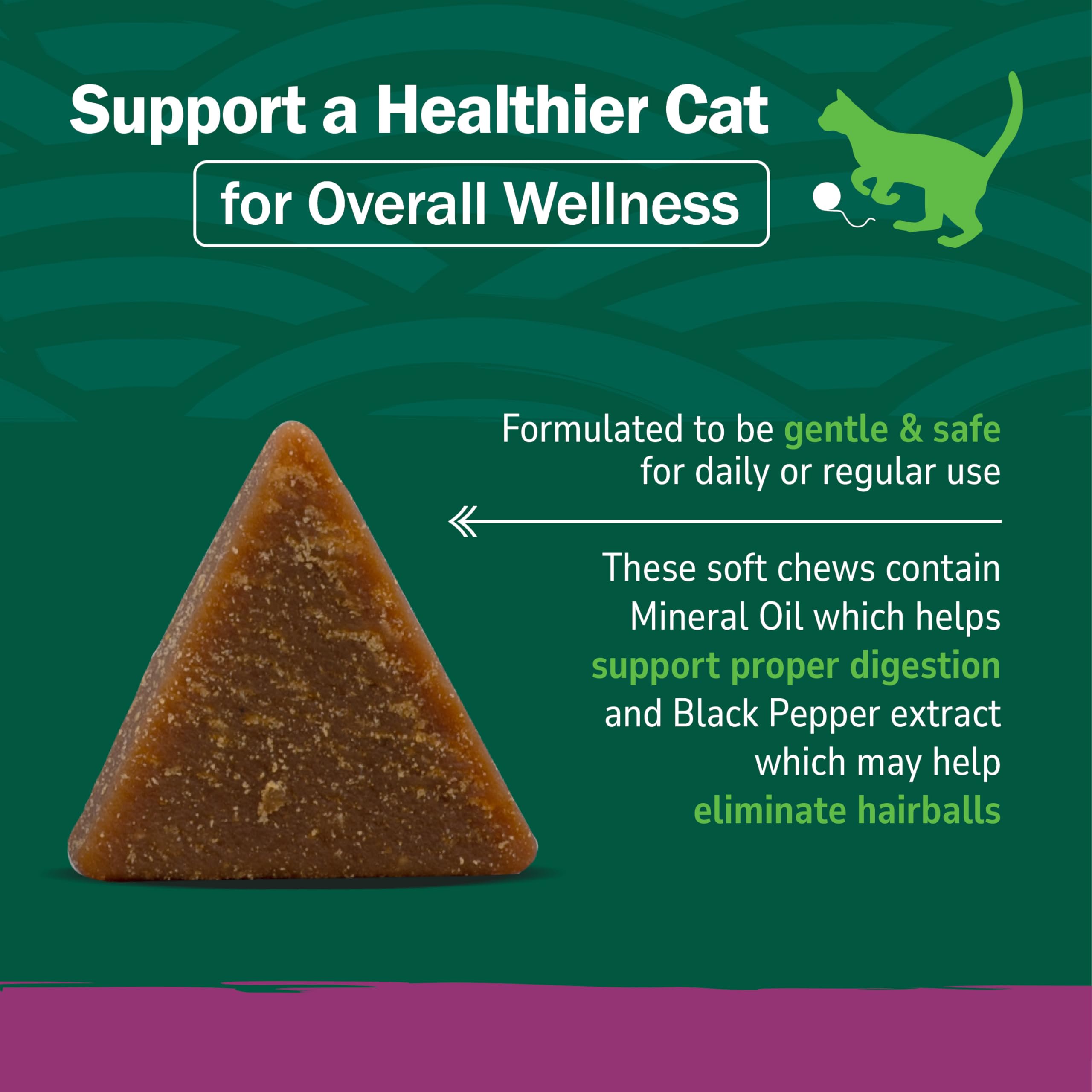 Formulation vétérinaire PetNC Hairball testée en laboratoire pour sécurité et efficacité