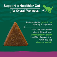 Formulation vétérinaire PetNC Hairball testée en laboratoire pour sécurité et efficacité