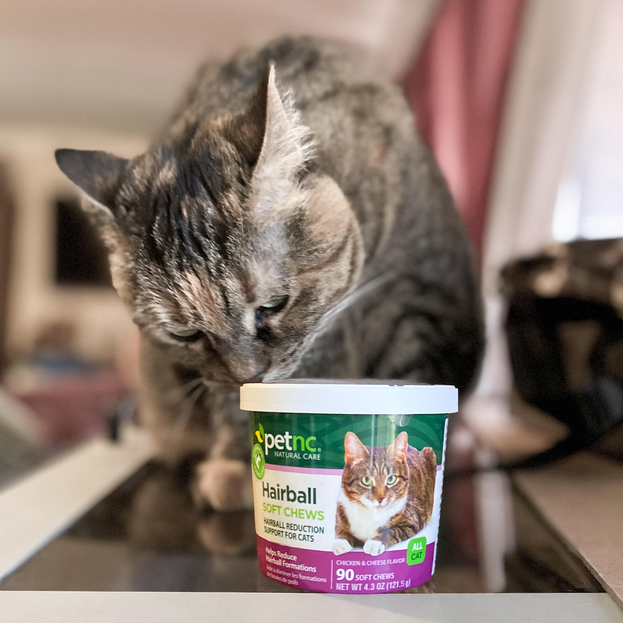 Saveur appétente poulet et fromage de PetNC Hairball pour chats exigeants