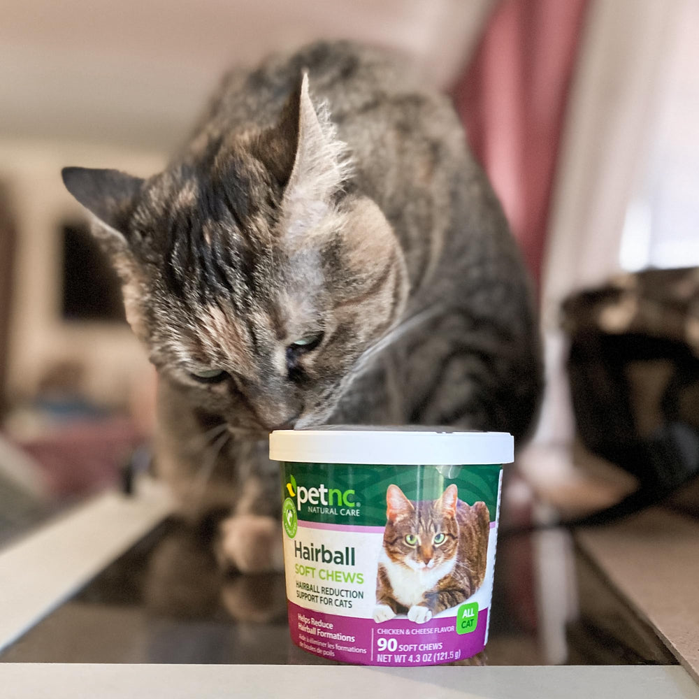 Saveur appétente poulet et fromage de PetNC Hairball pour chats exigeants
