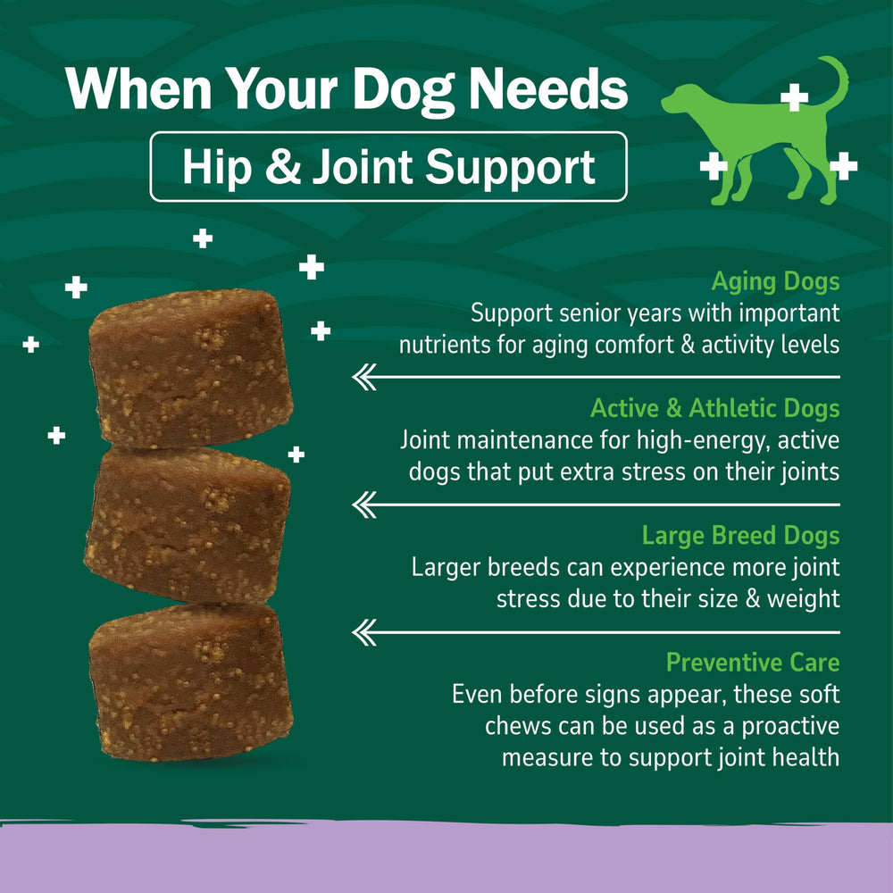 Chondroïtine et MSM présents dans PetNC Hip & Joint Soft Chews.