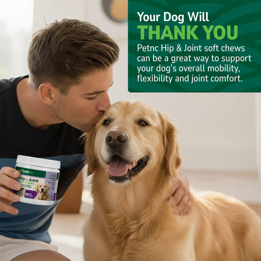 Acide hyaluronique ajouté dans PetNC Hip & Joint Soft Chews.