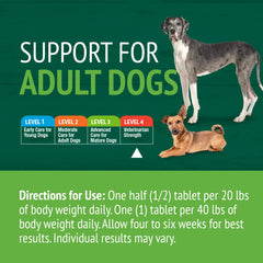 Dose quotidienne illustrée pour chiens adultes, simplicité d'utilisation.