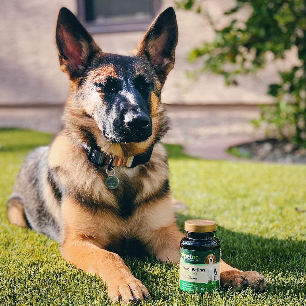 PetNC Natural Care – comprimés à mâcher, usage quotidien simple pour chiens.