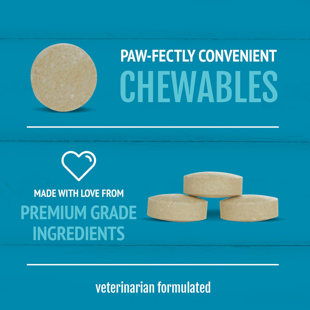 Chien heureux avec pelage sain grâce à PetNC Natural Care.