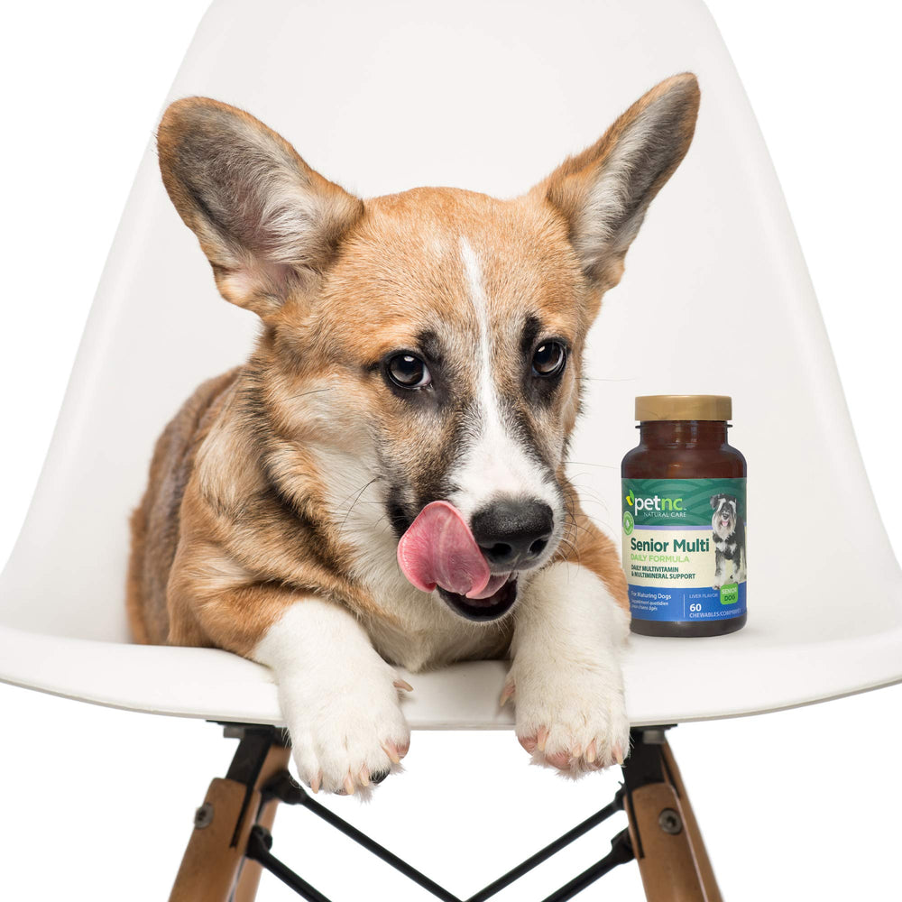 Dose idéale PetNC Senior Multi Chewables pour chiens 21 à 40 livres.
