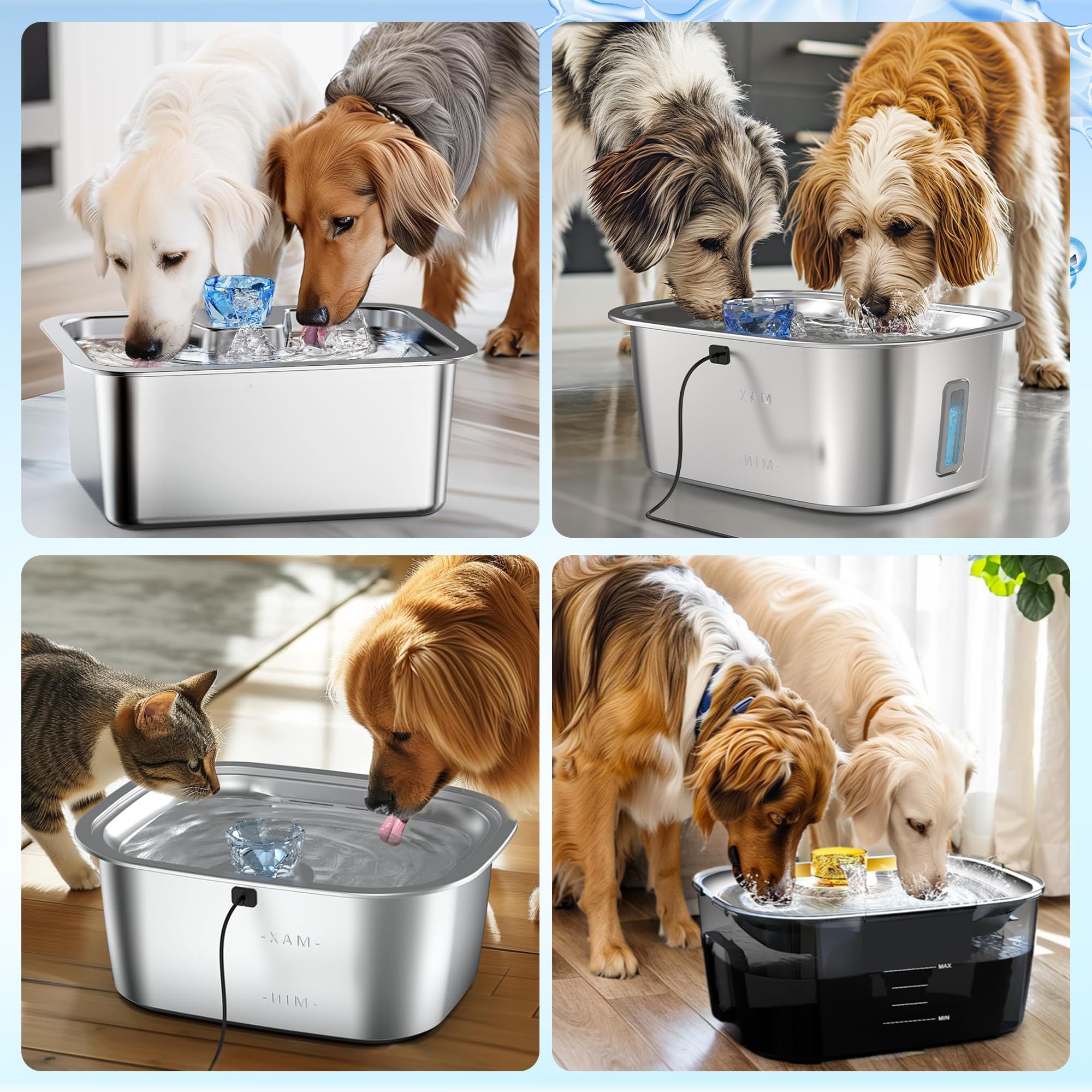 PETNF filtre eau chien emballage et accessoires inclus