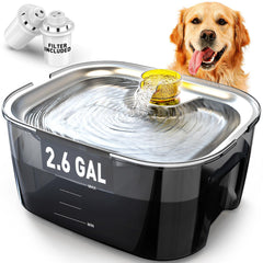 PETNF fontaine en acier inoxydable pour chiens et chats, hygiène améliorée