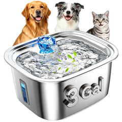 PETNF fontaine-eau-chien-acier-inox-3-galons flux constant pour grands chiens