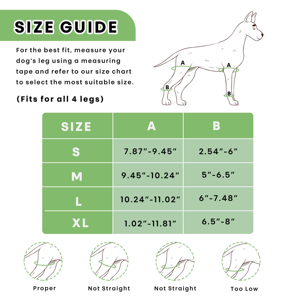 Petometry-genou-chien-ensemble-reeducation inclus pochette et pack thérapie