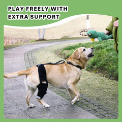 Petometry-genou-chien-neoprene-respirant offre confort lors des promenades