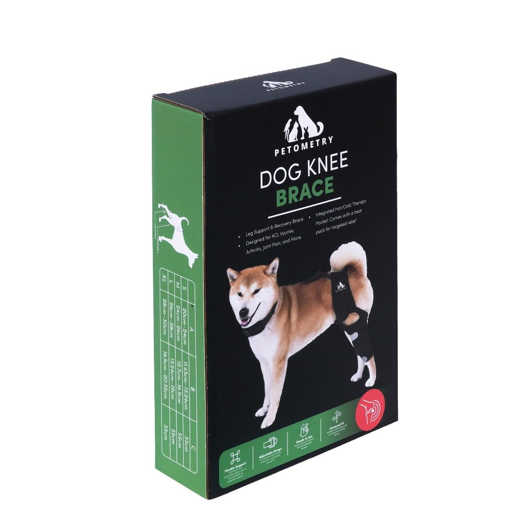 Petometry-genou-chien-pour-patte-arriere soutient les activités en extérieur