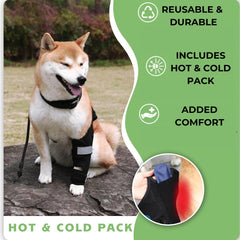 Petometry-genou-chien-stabilisateurs-10 pour un alignement et soutien articulé