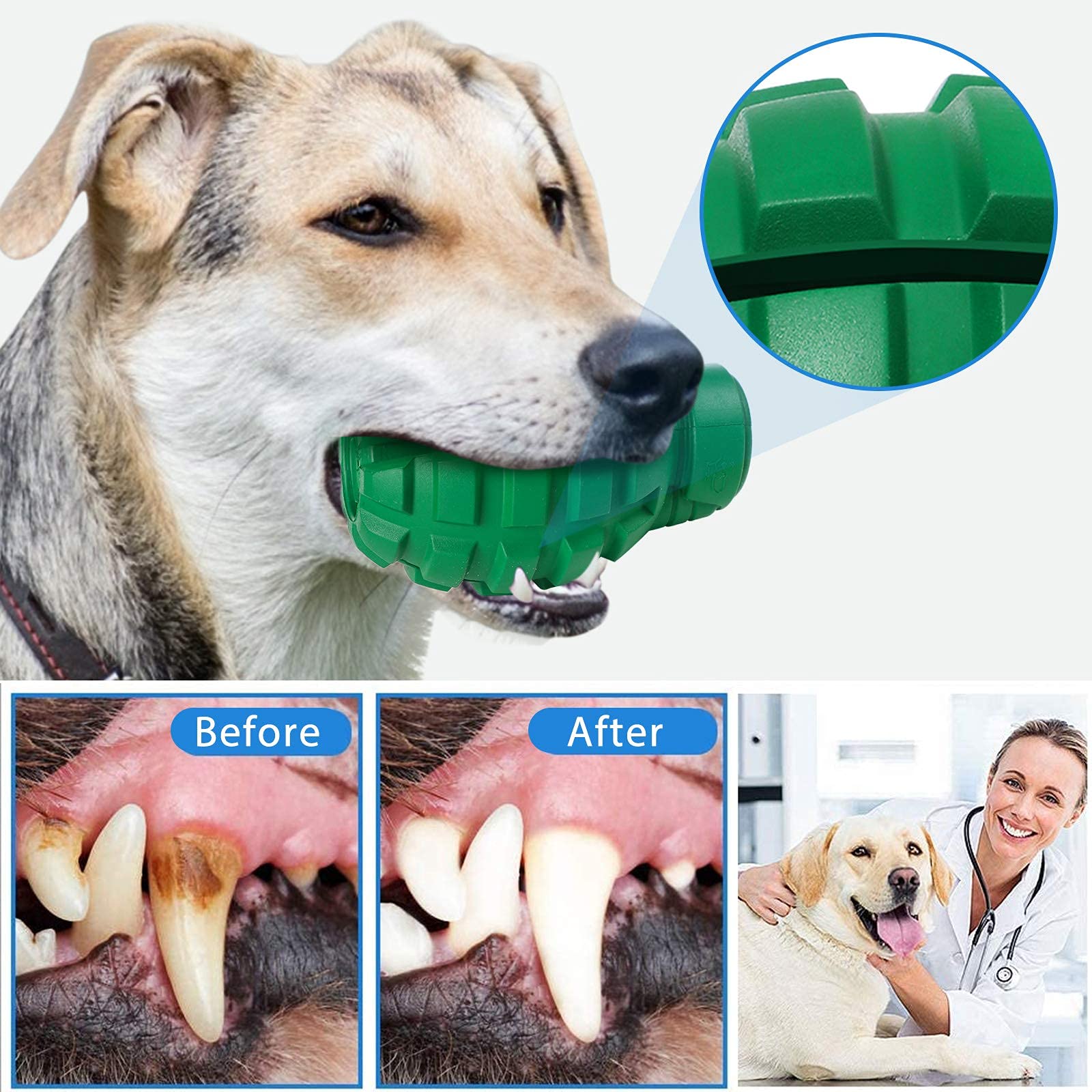 Jouet PETOPIA grand format vert, conçu pour les chiens à dentition puissante.