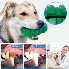 Jouet PETOPIA grand format vert, conçu pour les chiens à dentition puissante.
