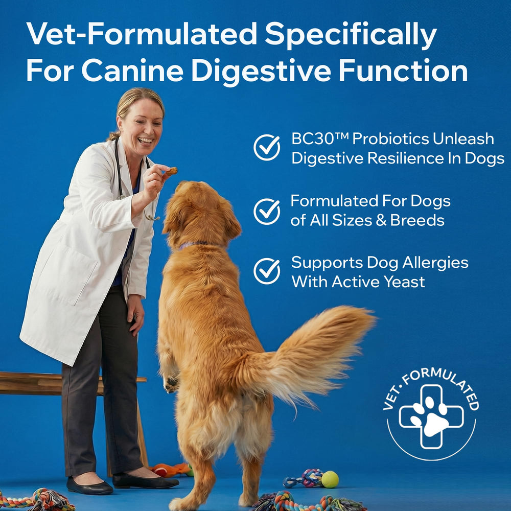 Flacon PetOptimum chien — dosage pratique pour l’alimentation quotidienne.