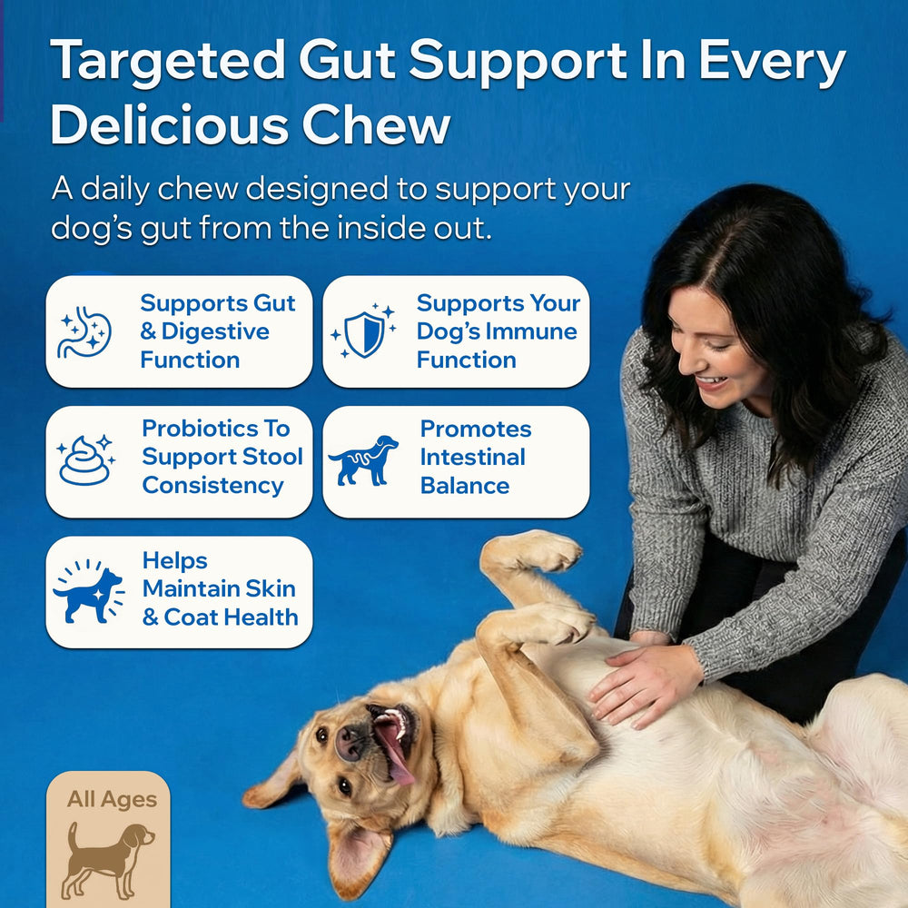 PetOptimum prébiotiques chien — fibres soutenant la flore intestinale et la digestion.