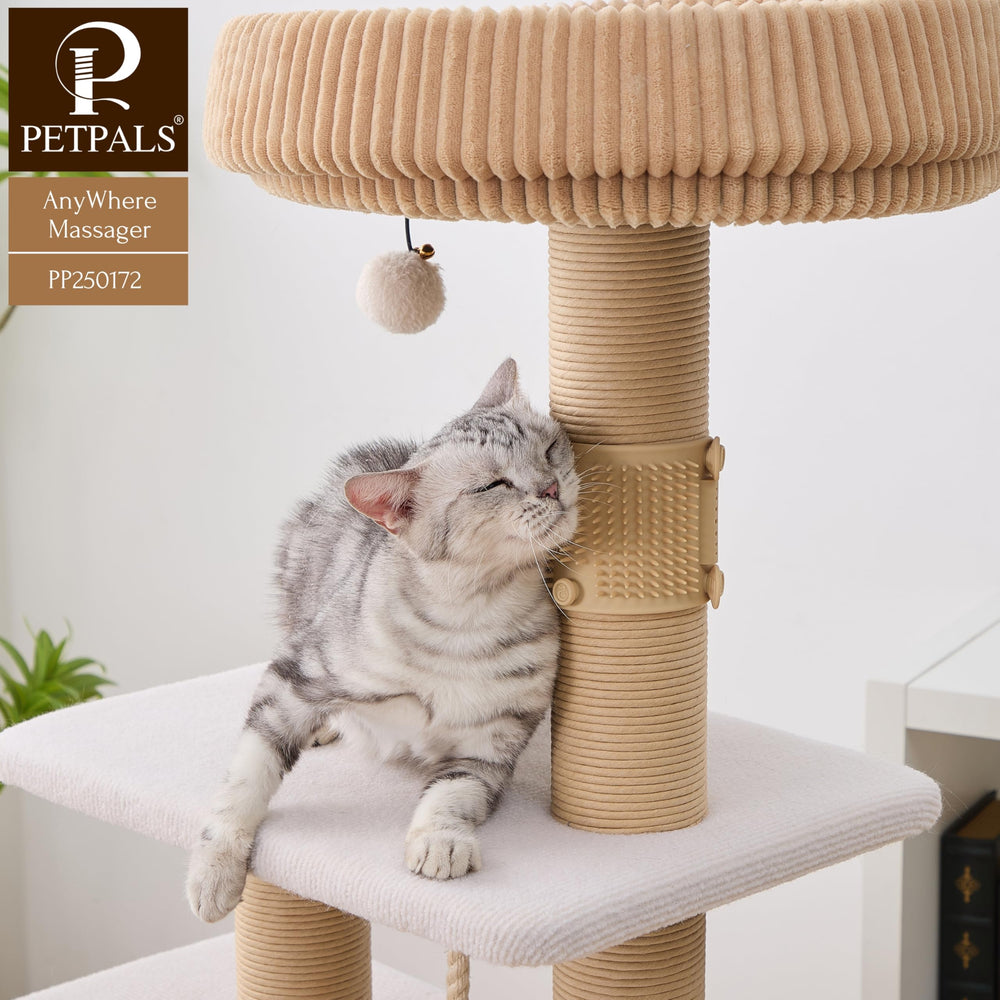 PetPals Anywhere: utilisable sur différents meubles pour un toilettage pratique.