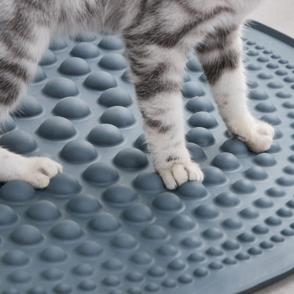 Utilisation quotidienne facile et durable avec le tapis PetPals.