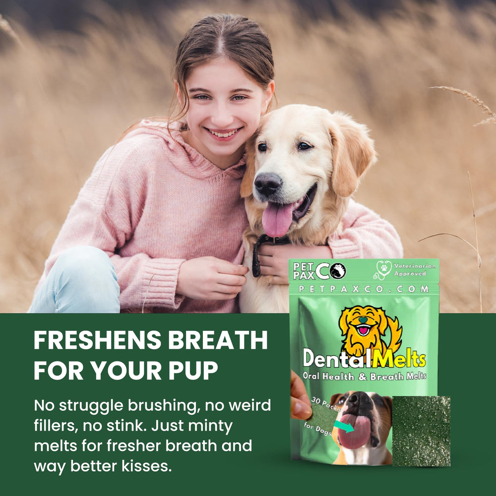 PetPax Co produit dentaire — solution discrète pour haleine plus fraîche.