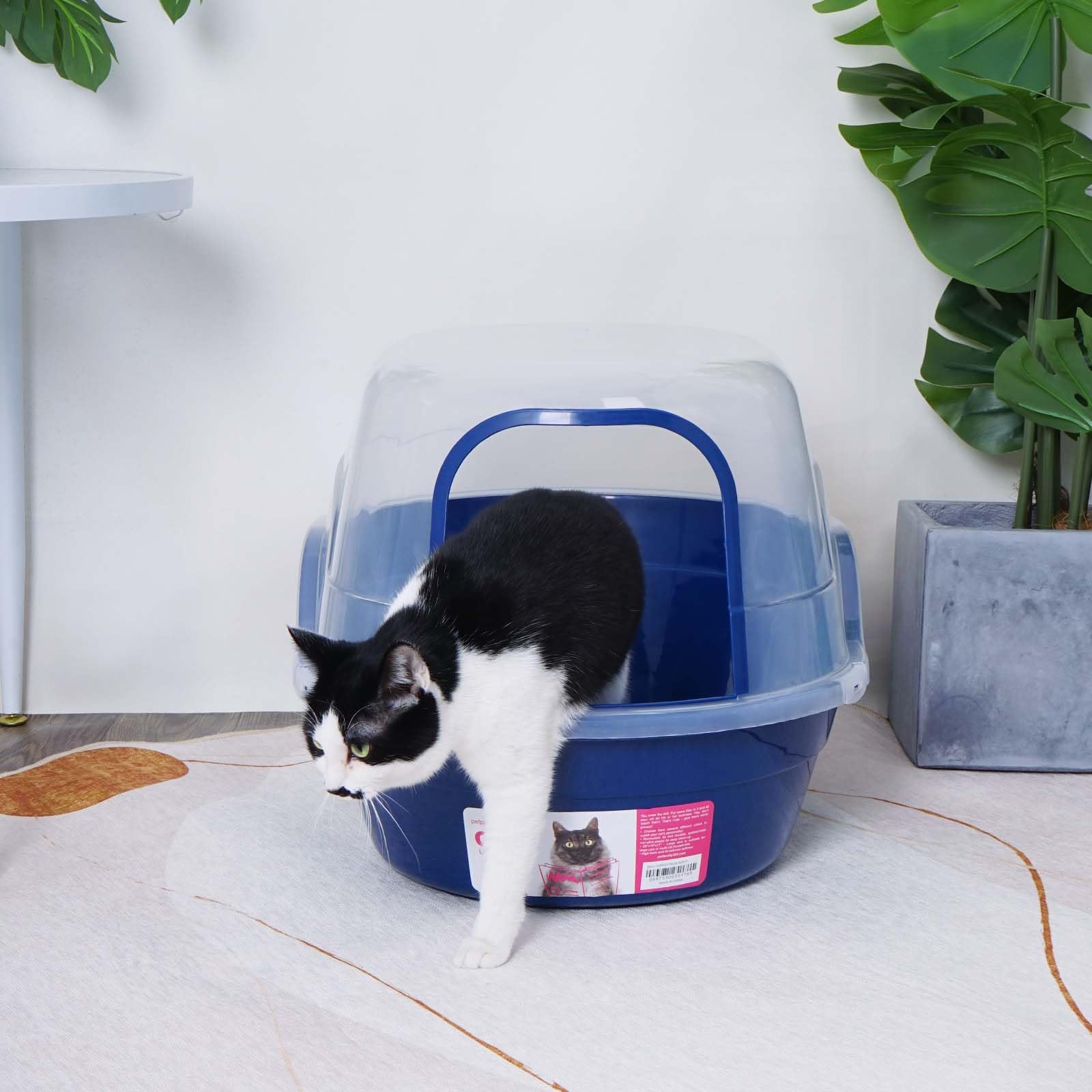 Confort et espace pour chats grâce à Petalphabet.