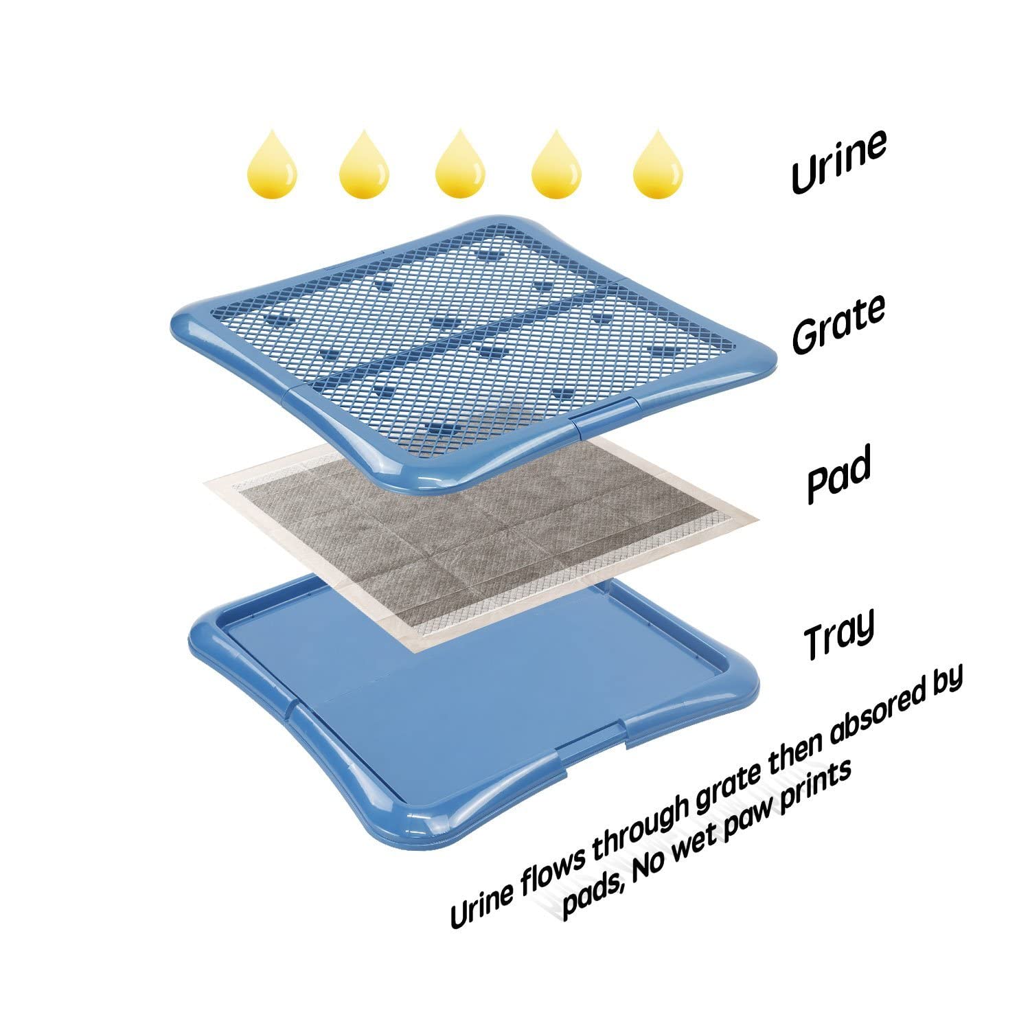 Petphabet - prevention dechirure tapis, solution fiable.