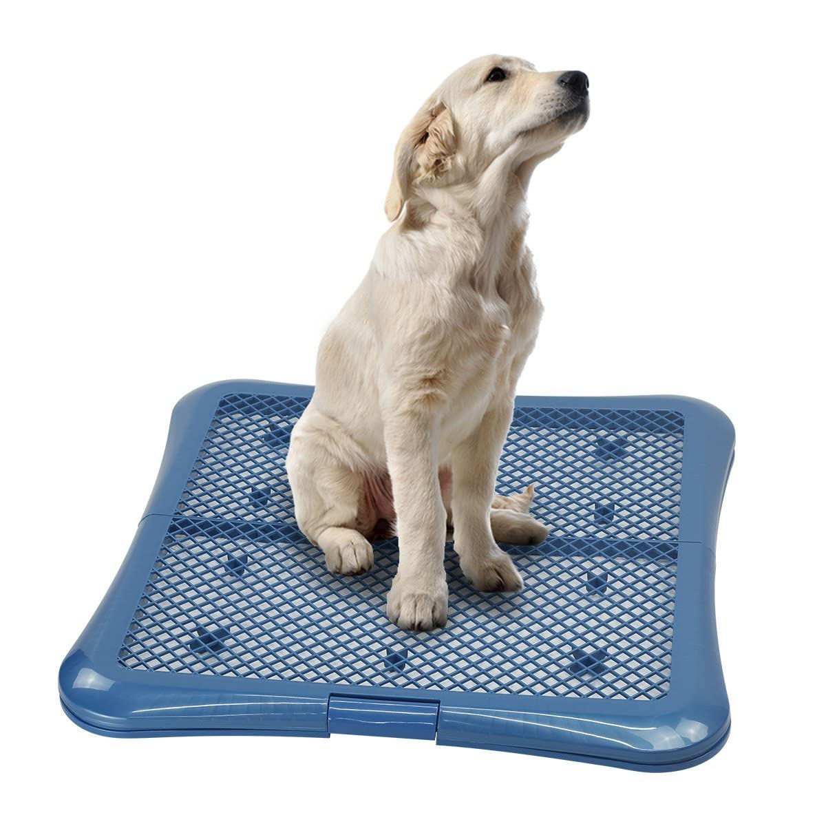 Petphabet - vue générale du support tapis entrainement, maintien sécurisé.