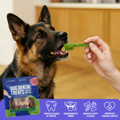 Petphabet format moyen/grande adapté pour chiens de taille moyenne à grande.